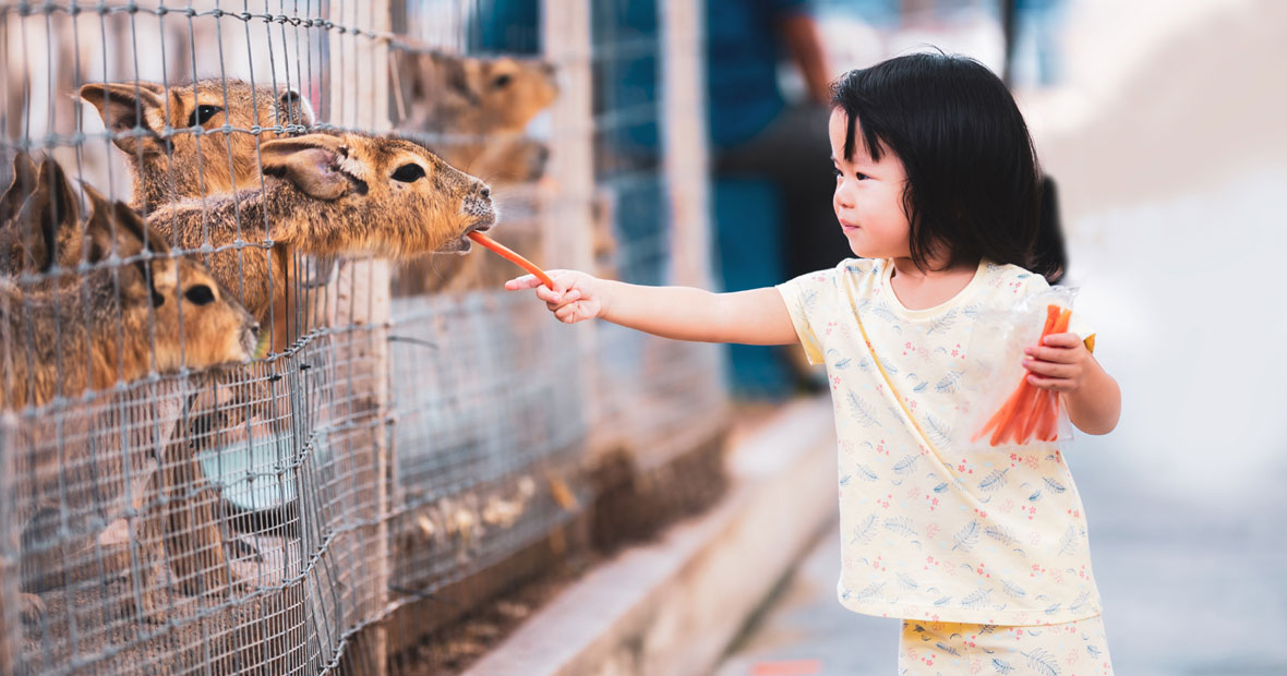 zoo en Auvergne
